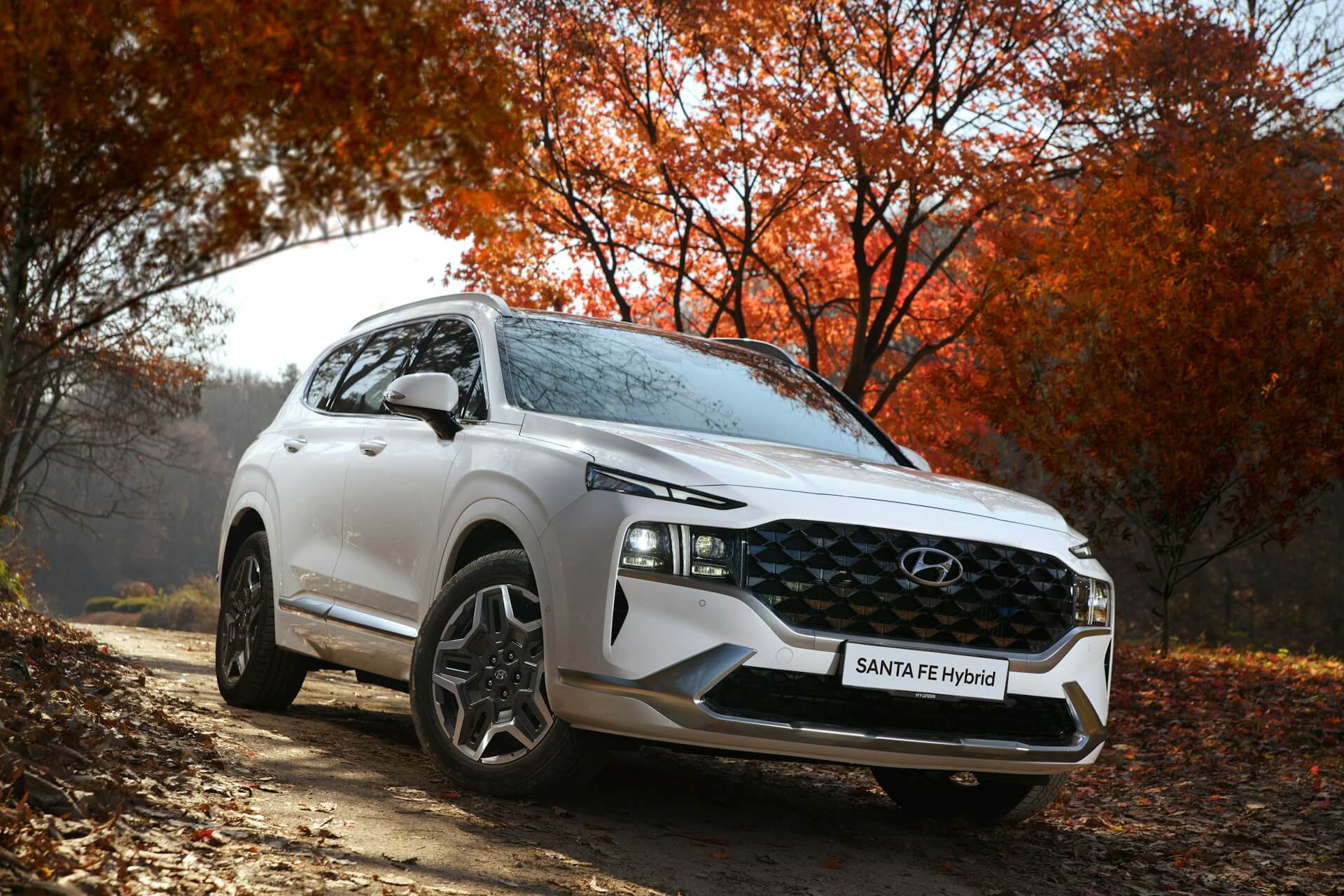 Why the New 2024 Hyundai Palisade Is a Perfect Fit for Seniors